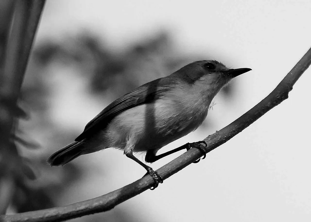 DSC_9361.jpg