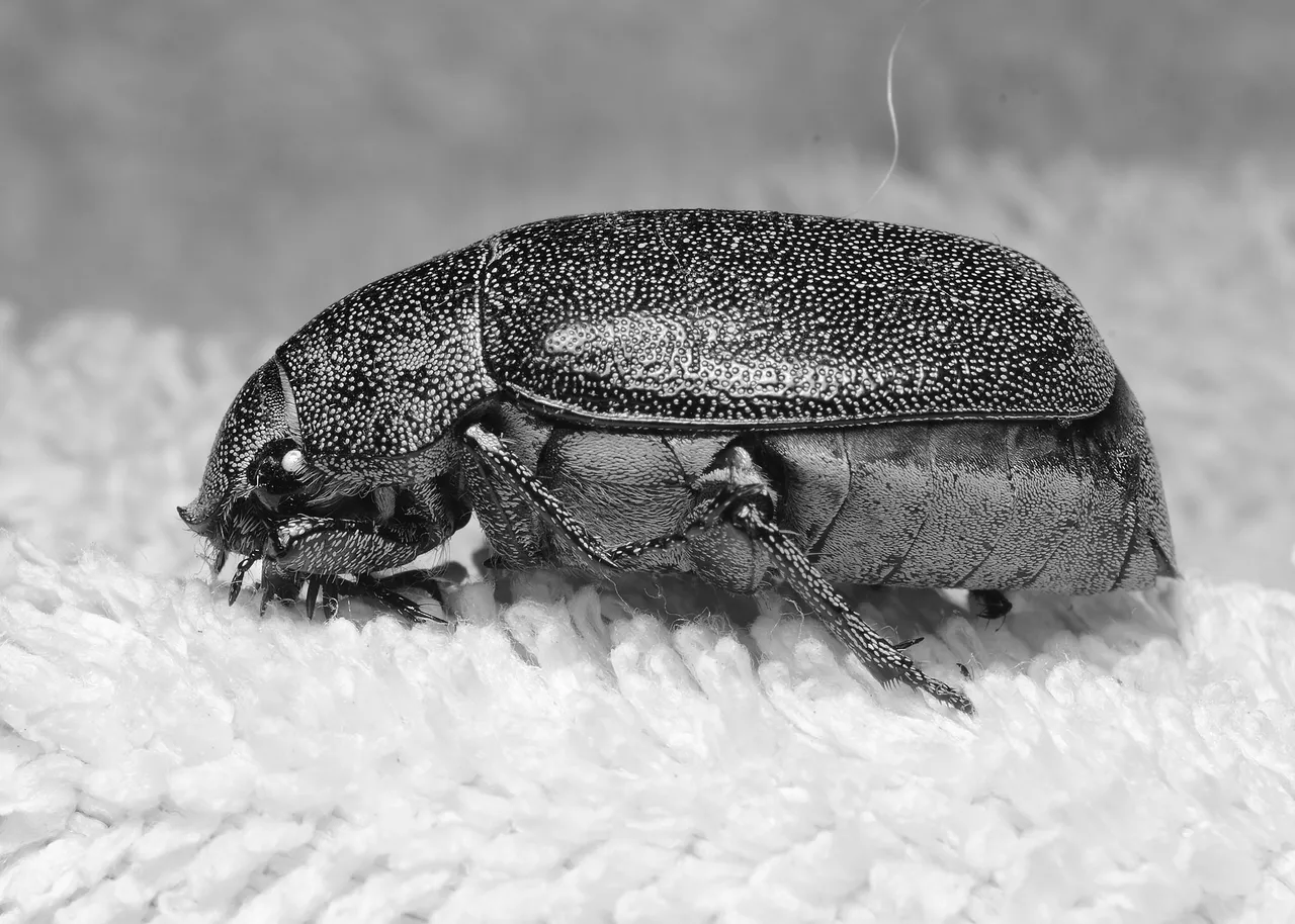 DSC_3513.jpg