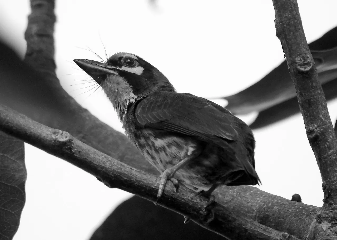 DSC_0395.jpg