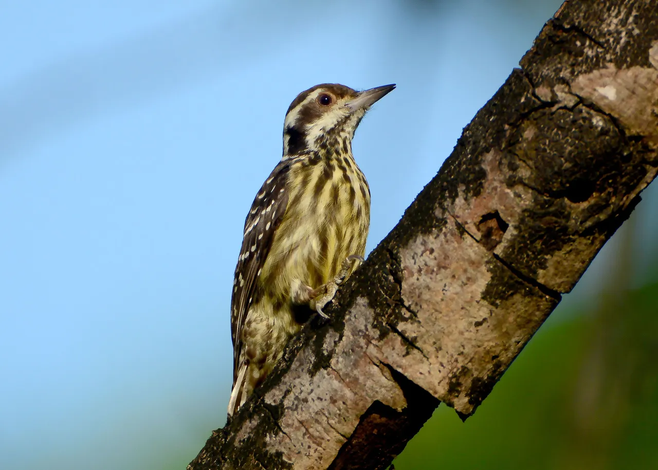 DSC_6695.jpg