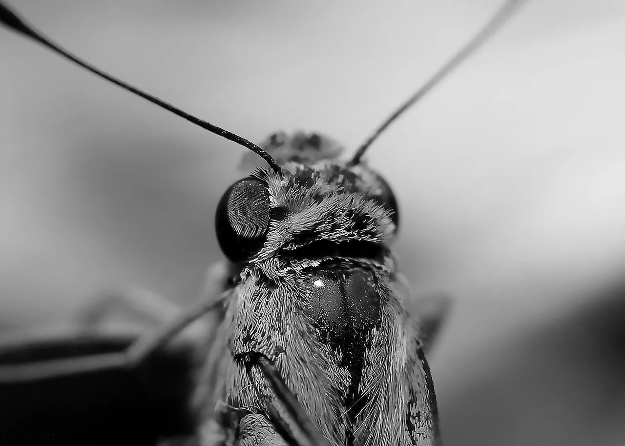 DSC_3914.jpg