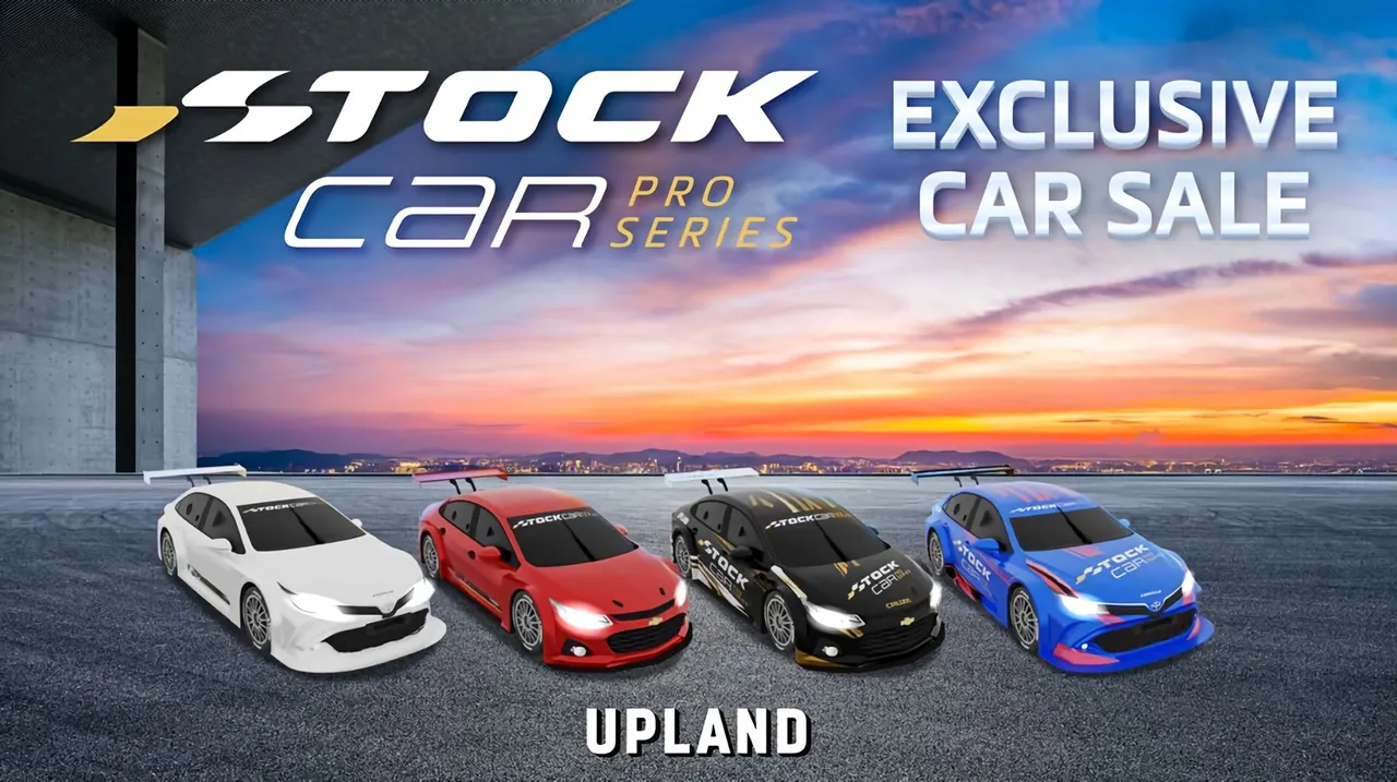 stockcarexclusivesale1.jpg