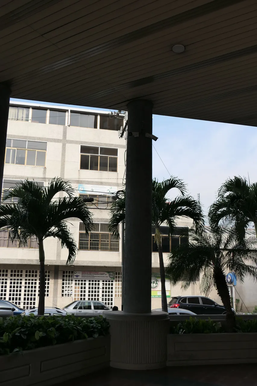P1000276.JPG