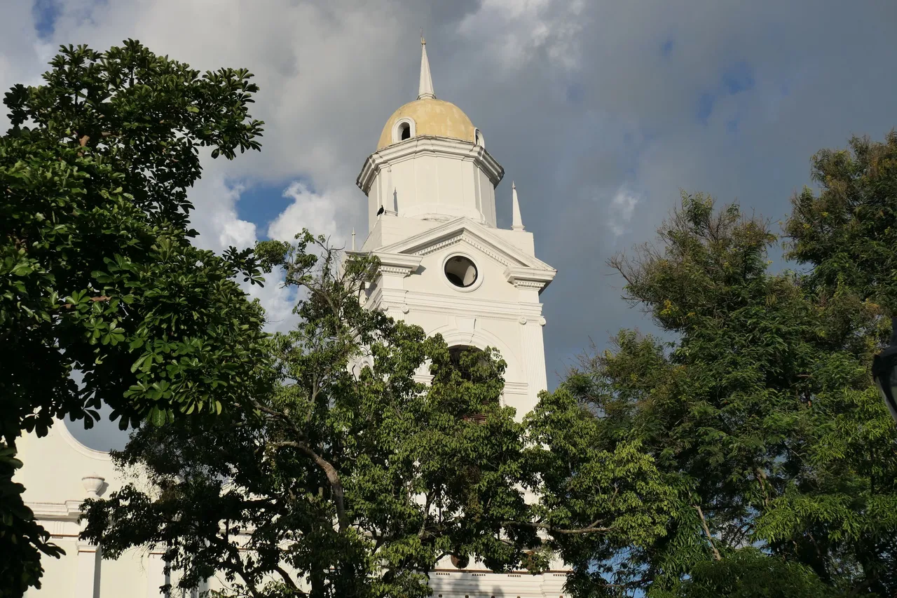 P1011490.JPG