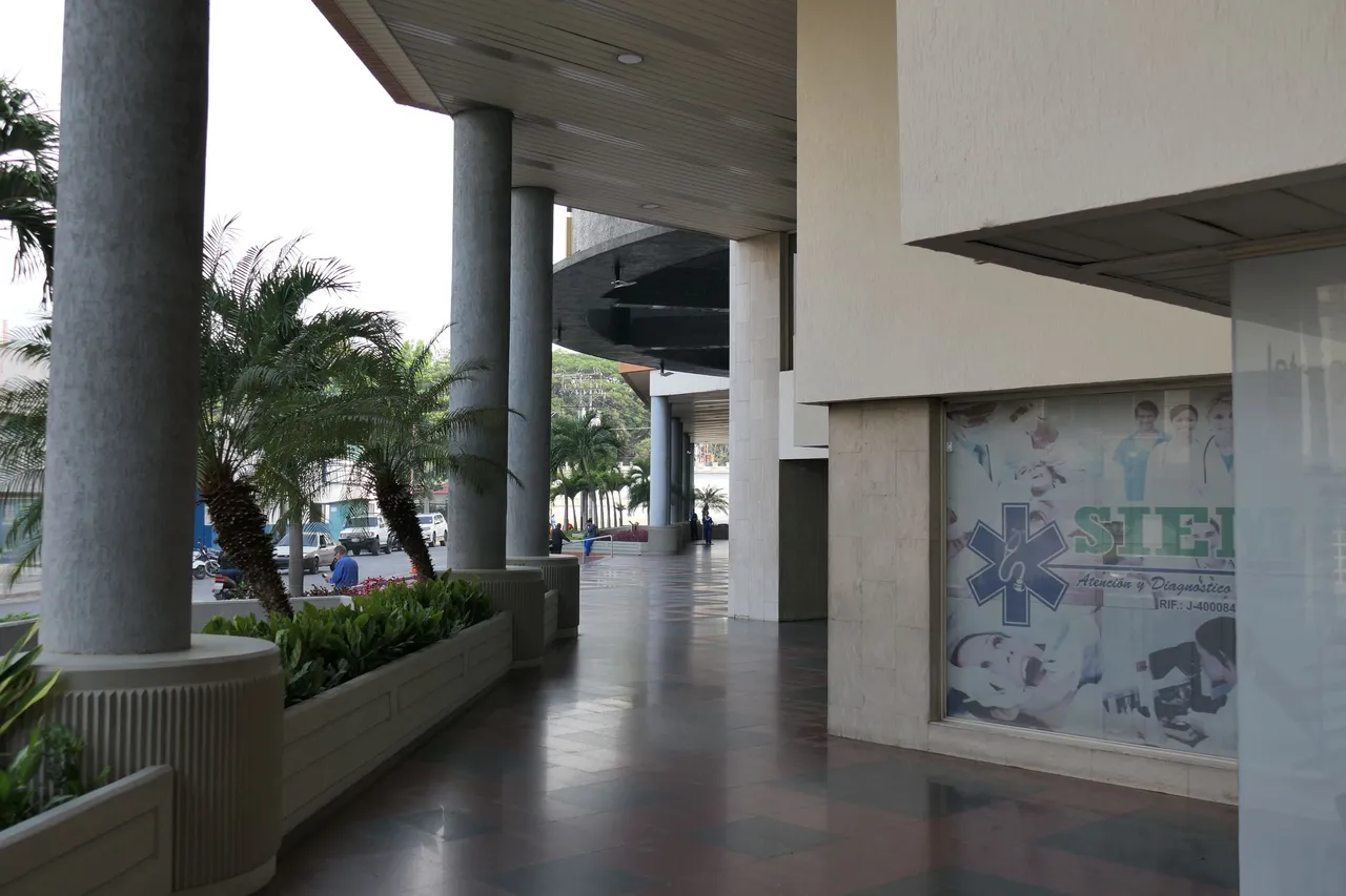 P1000278.JPG