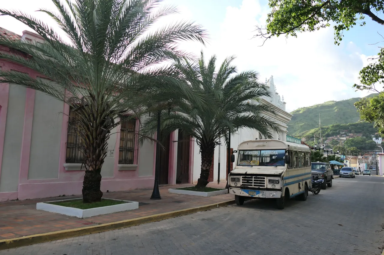P1011480.JPG