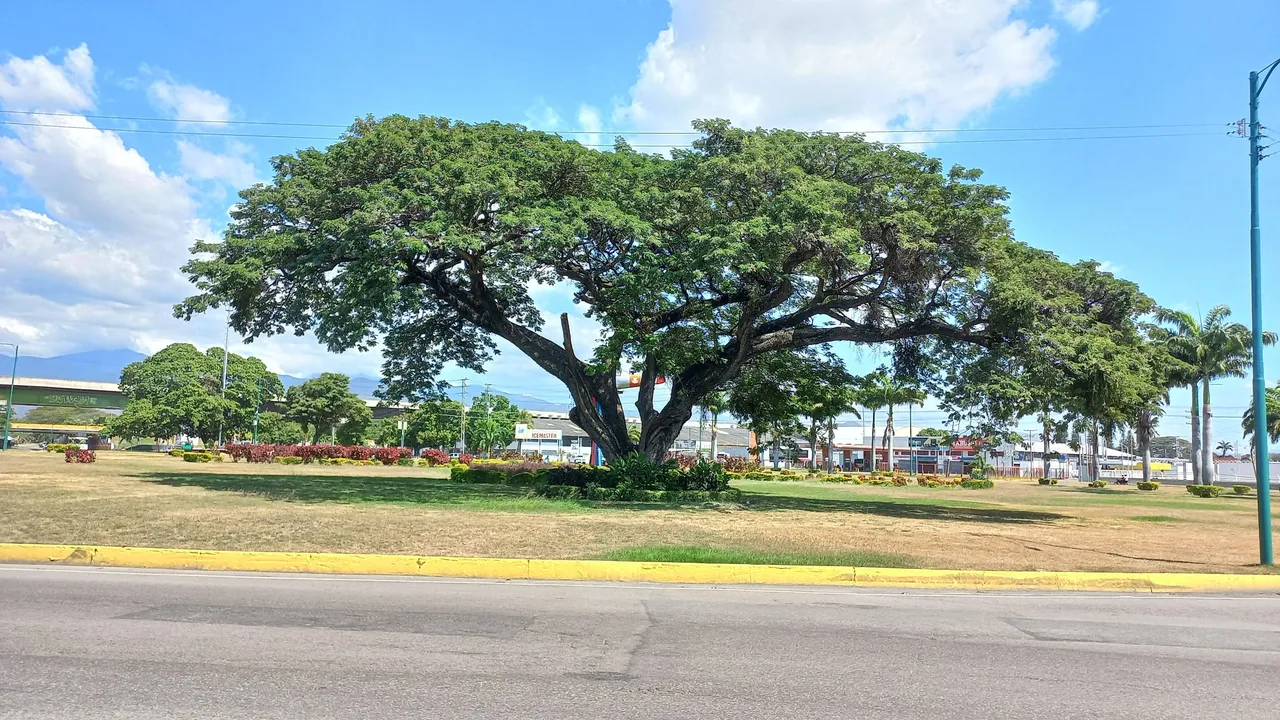 20250113_125950.jpg