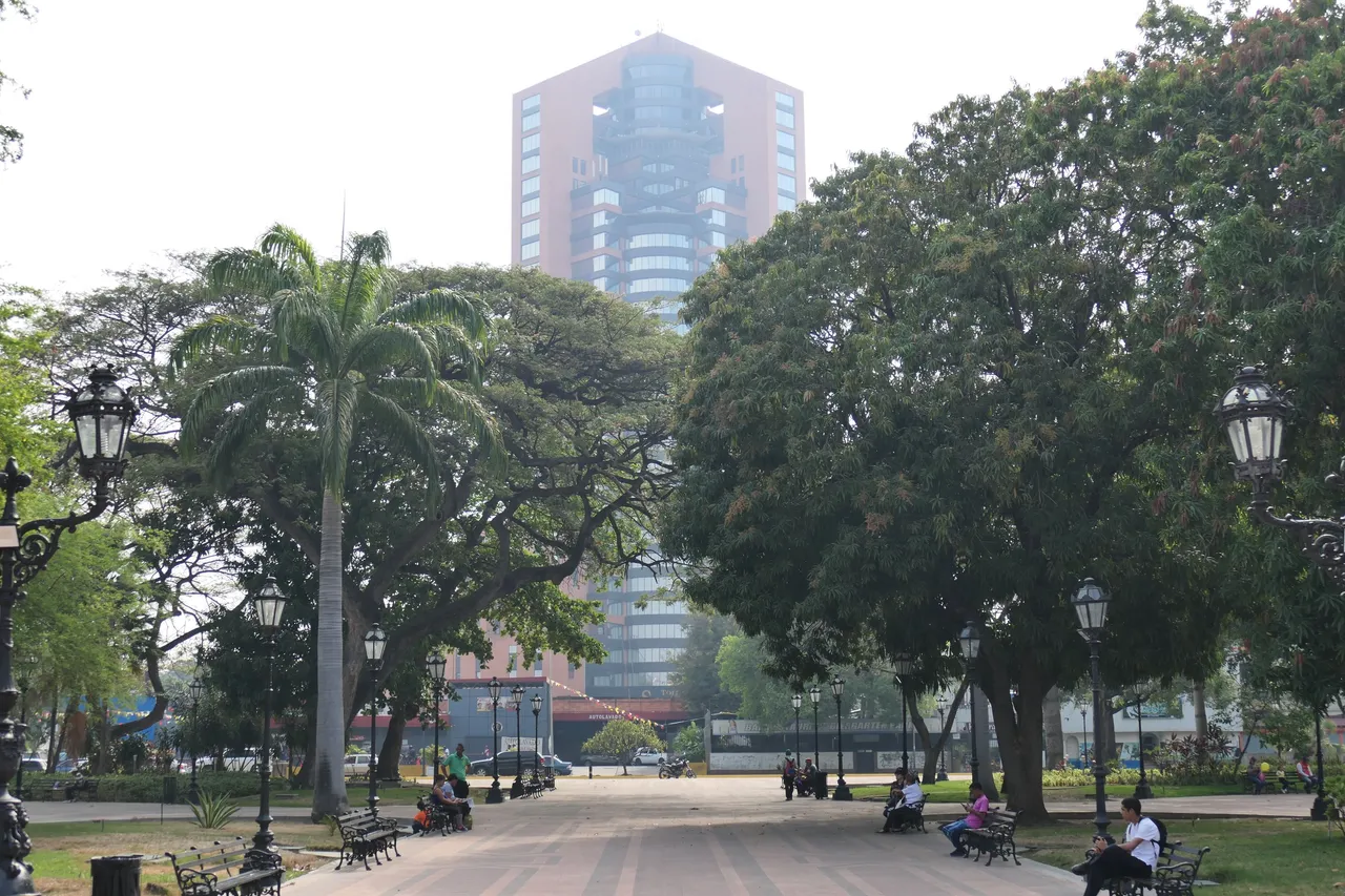 P1000305.JPG