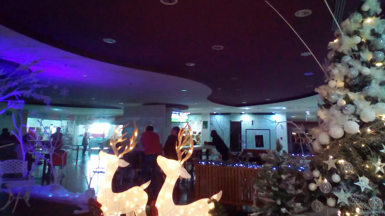 IMG_20221214_154242.jpg