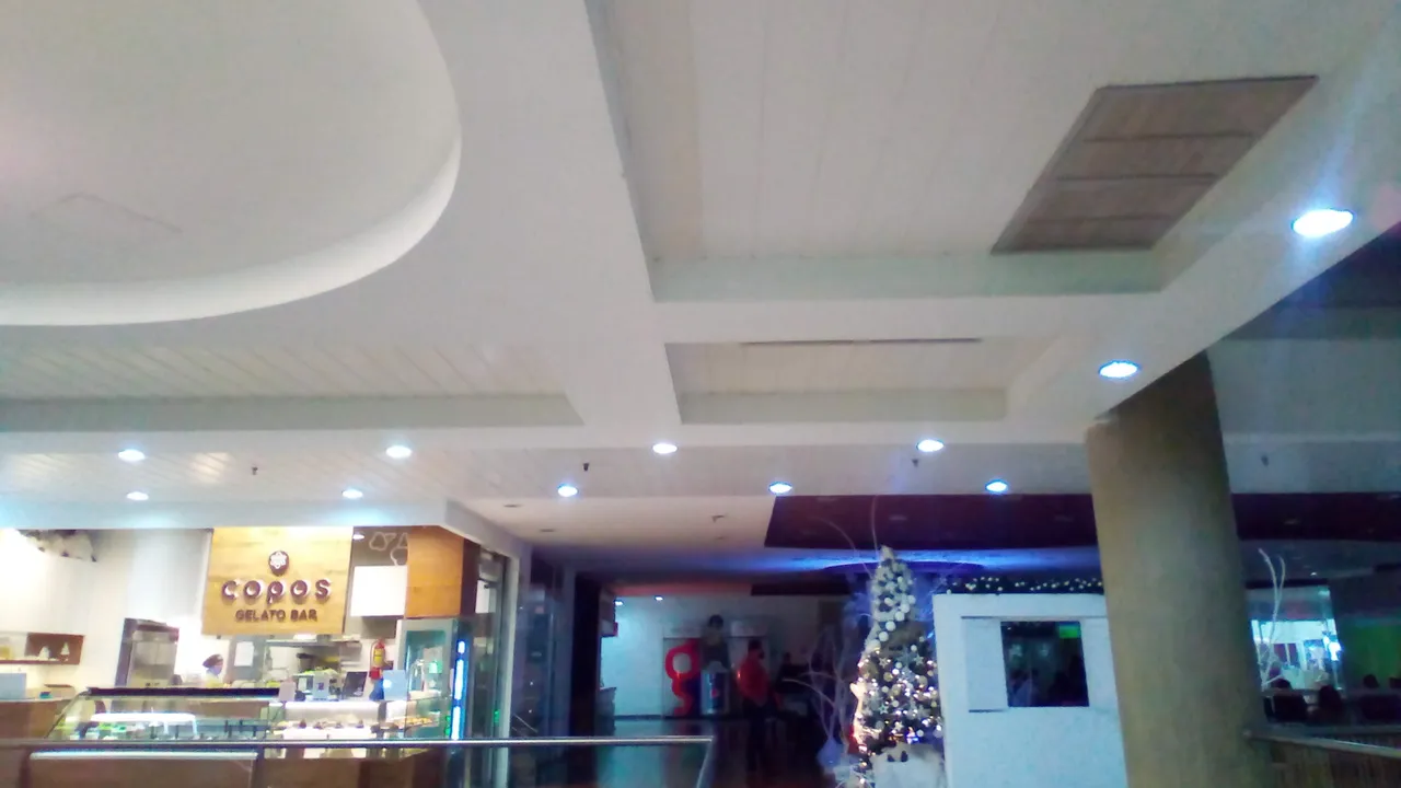 IMG_20221214_154205.jpg