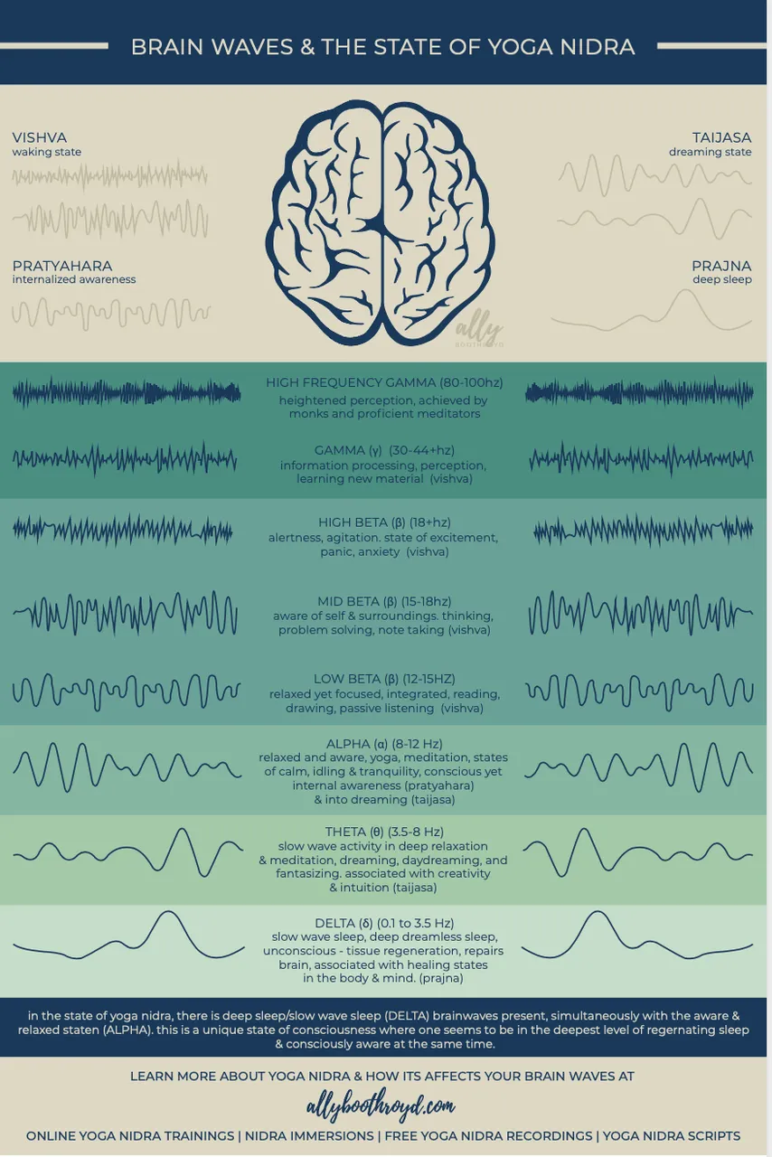 brain-waves-and-the-state-of-yoga-nidra-image-graphic-infographic-illustration-ally-boothroyd.png
