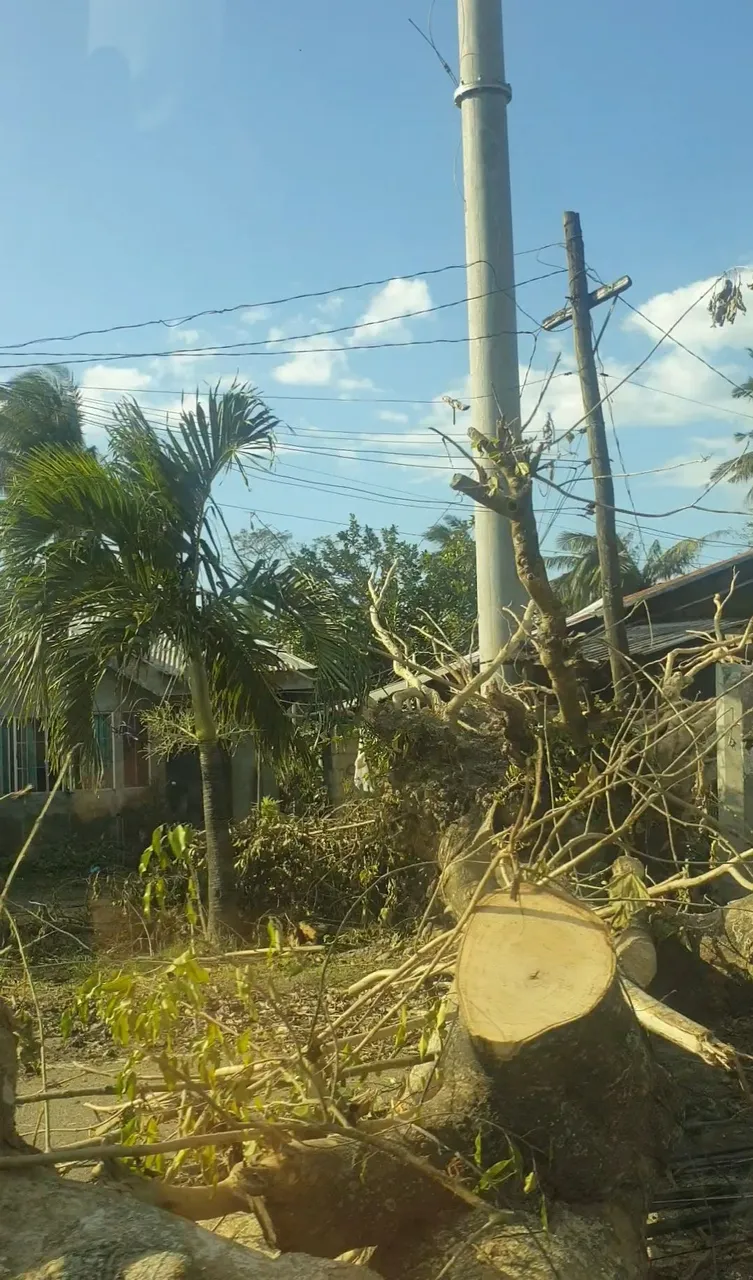 20220113_185930.jpg