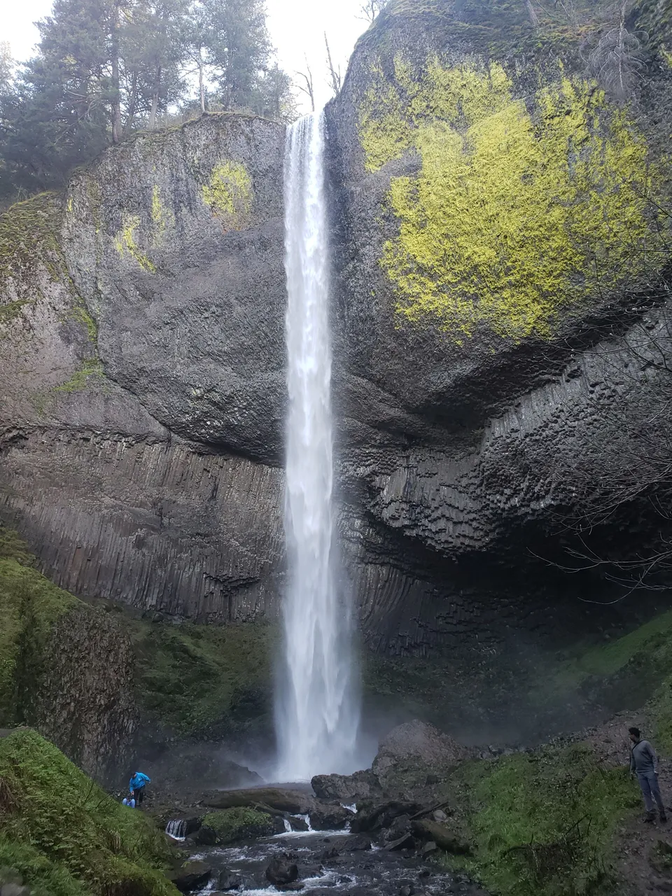 20220402_171255.jpg
