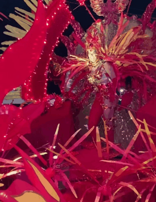 20230223_133507.gif