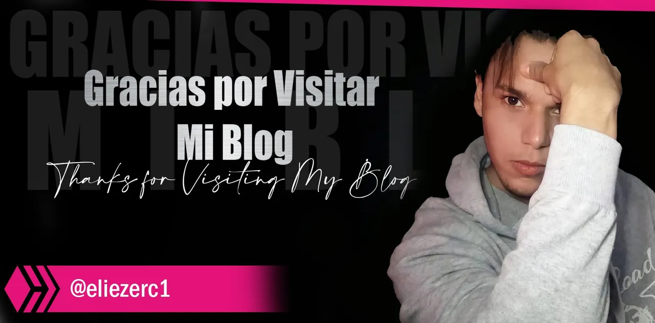 gracias por visitar mi blog rosa.jpg