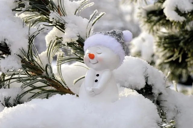 snowman-ga69f1db14_640.jpg