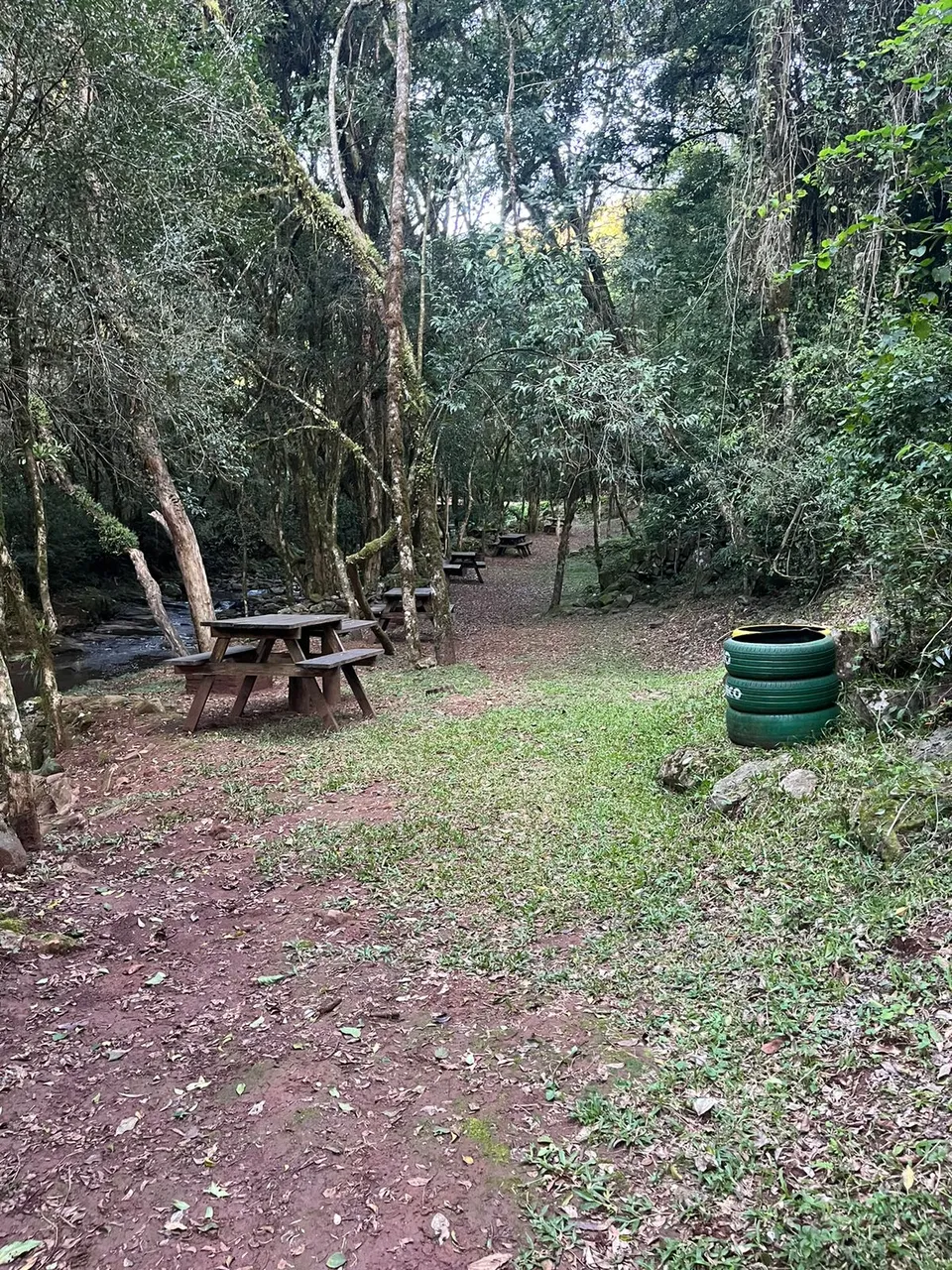 cachoeira (14).jpeg