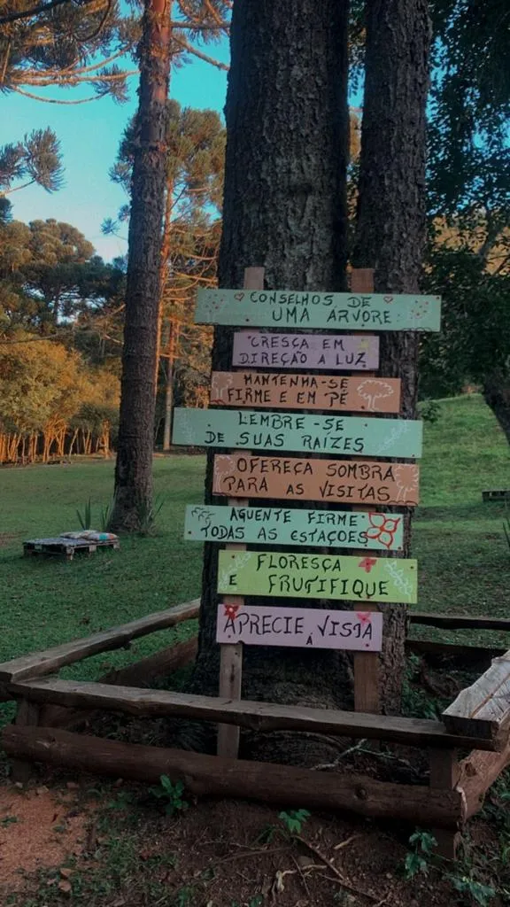 cachoeira (6).jpeg