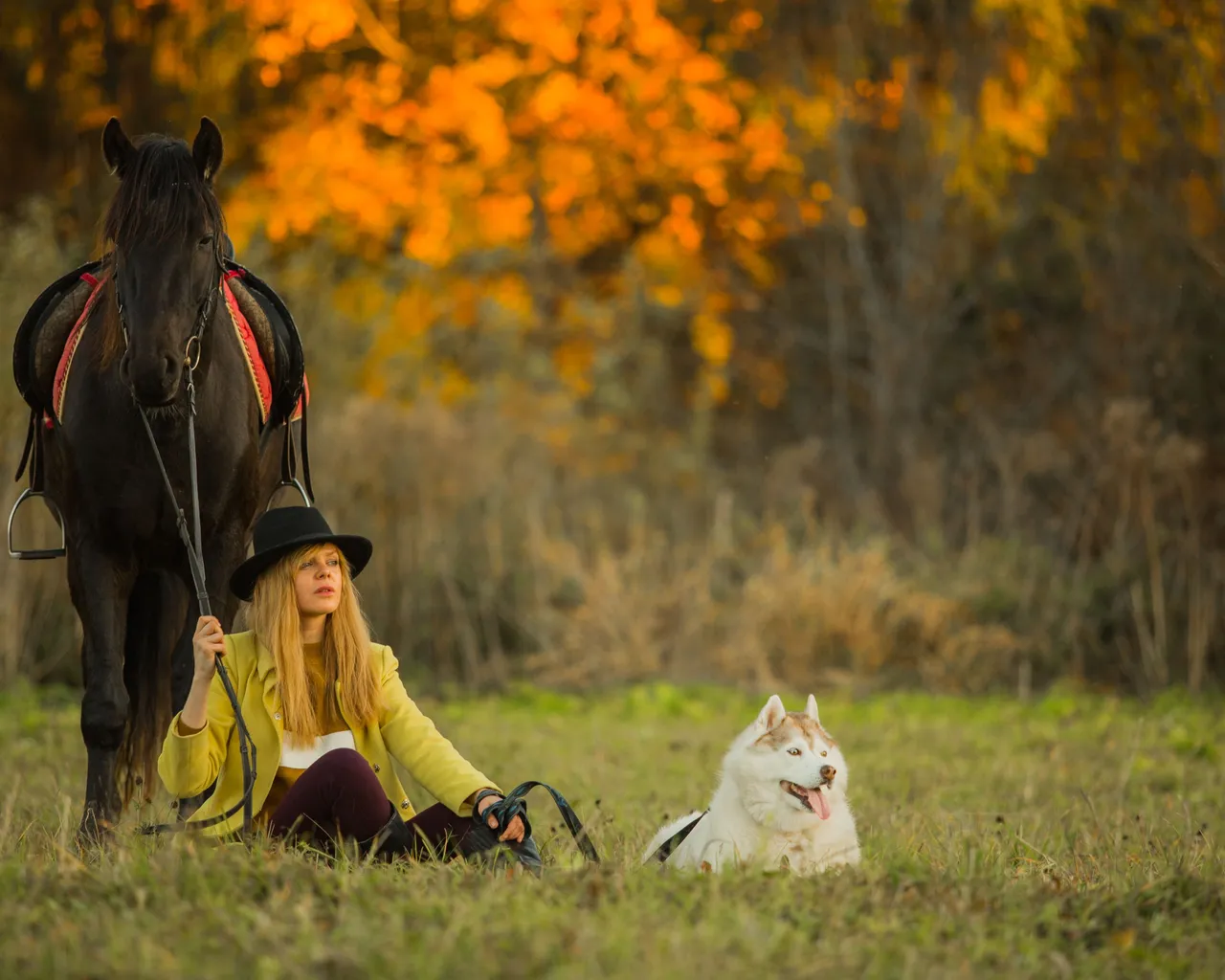 nina-posando-caballo-perro.jpg