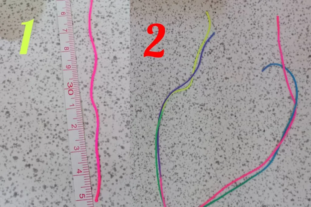 multicolor (15).jpeg