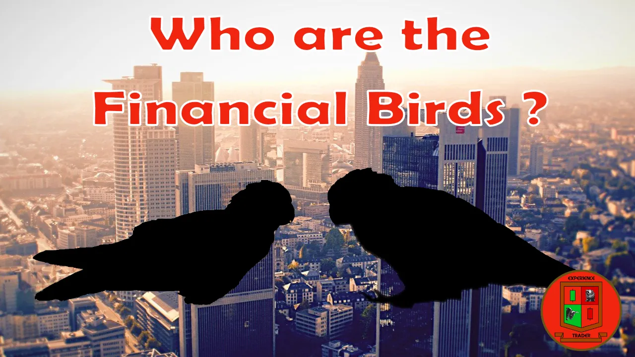 PEAKD_financialbirds_eng.png