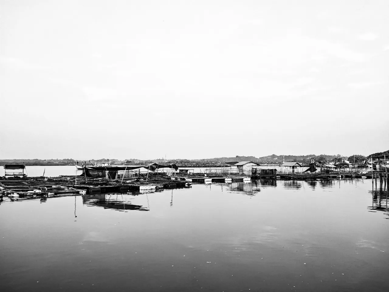 PXL_20240506_061340823.jpg