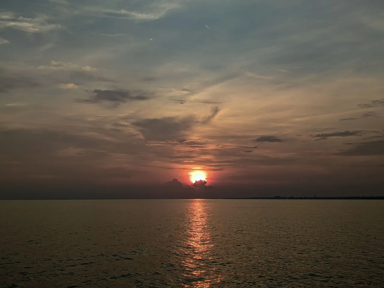 PXL_20240428_063021413.jpg
