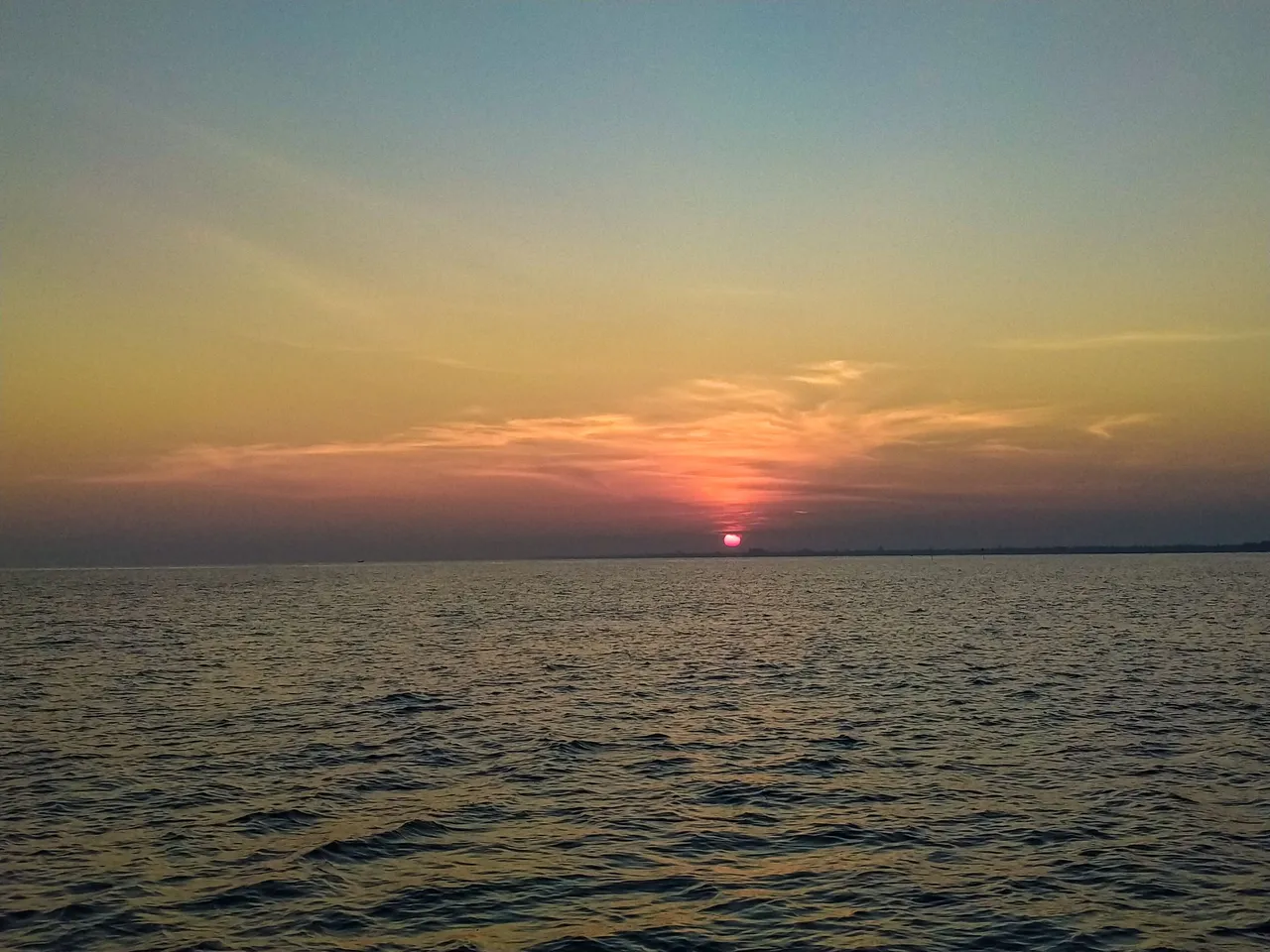 IMG20240319063848.jpg