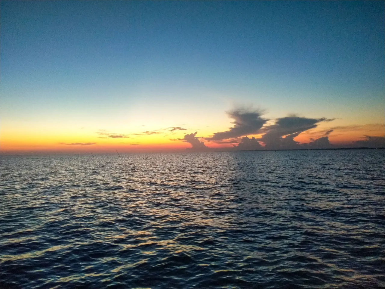IMG20230602055739.jpg