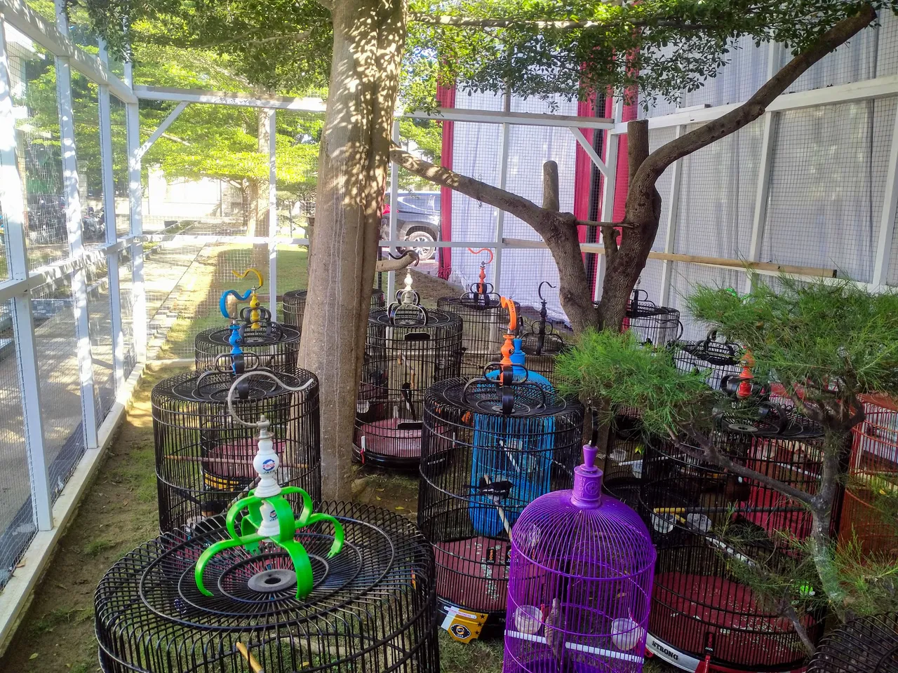IMG20230617084851.jpg