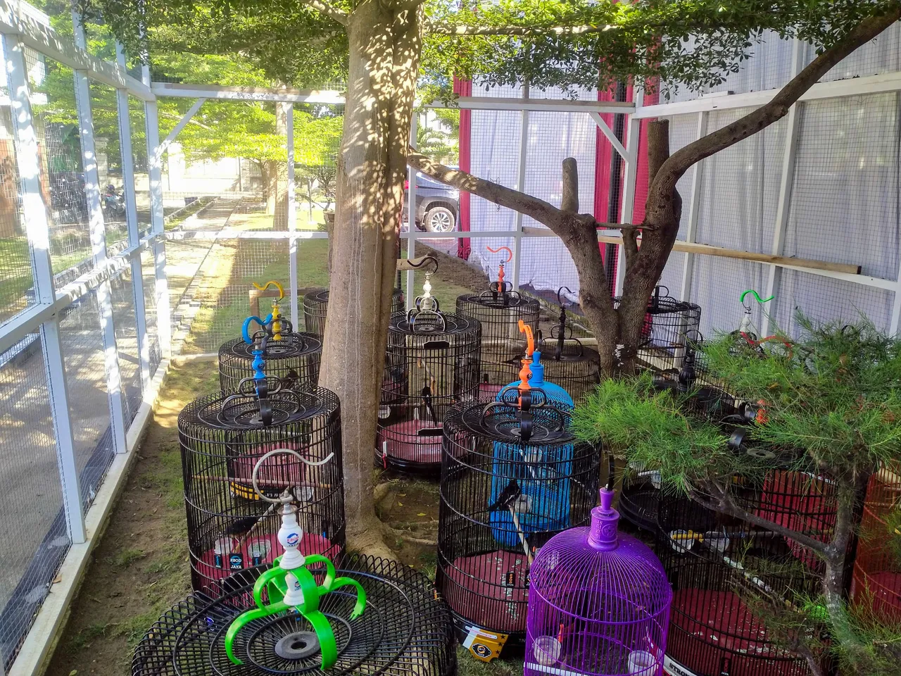 IMG20230617084900.jpg