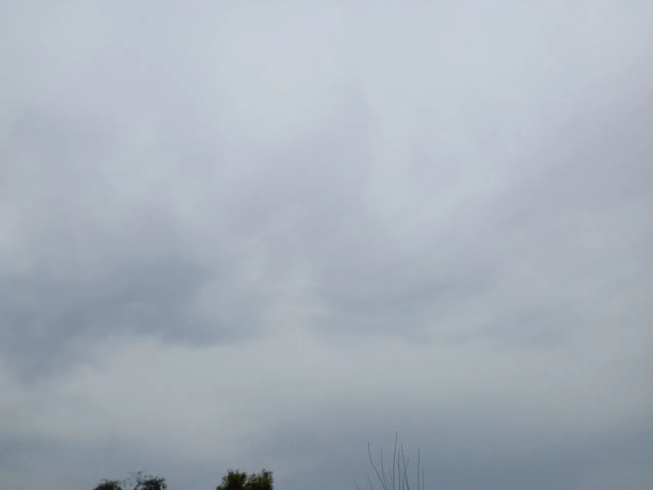 IMG_20250219_153031.jpg