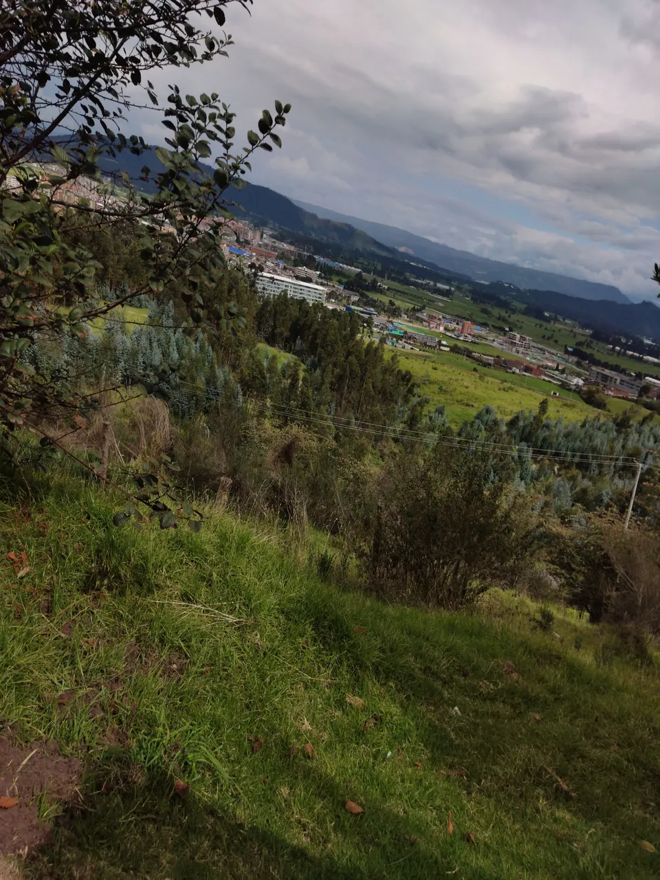 IMG_20220319_142330.jpg