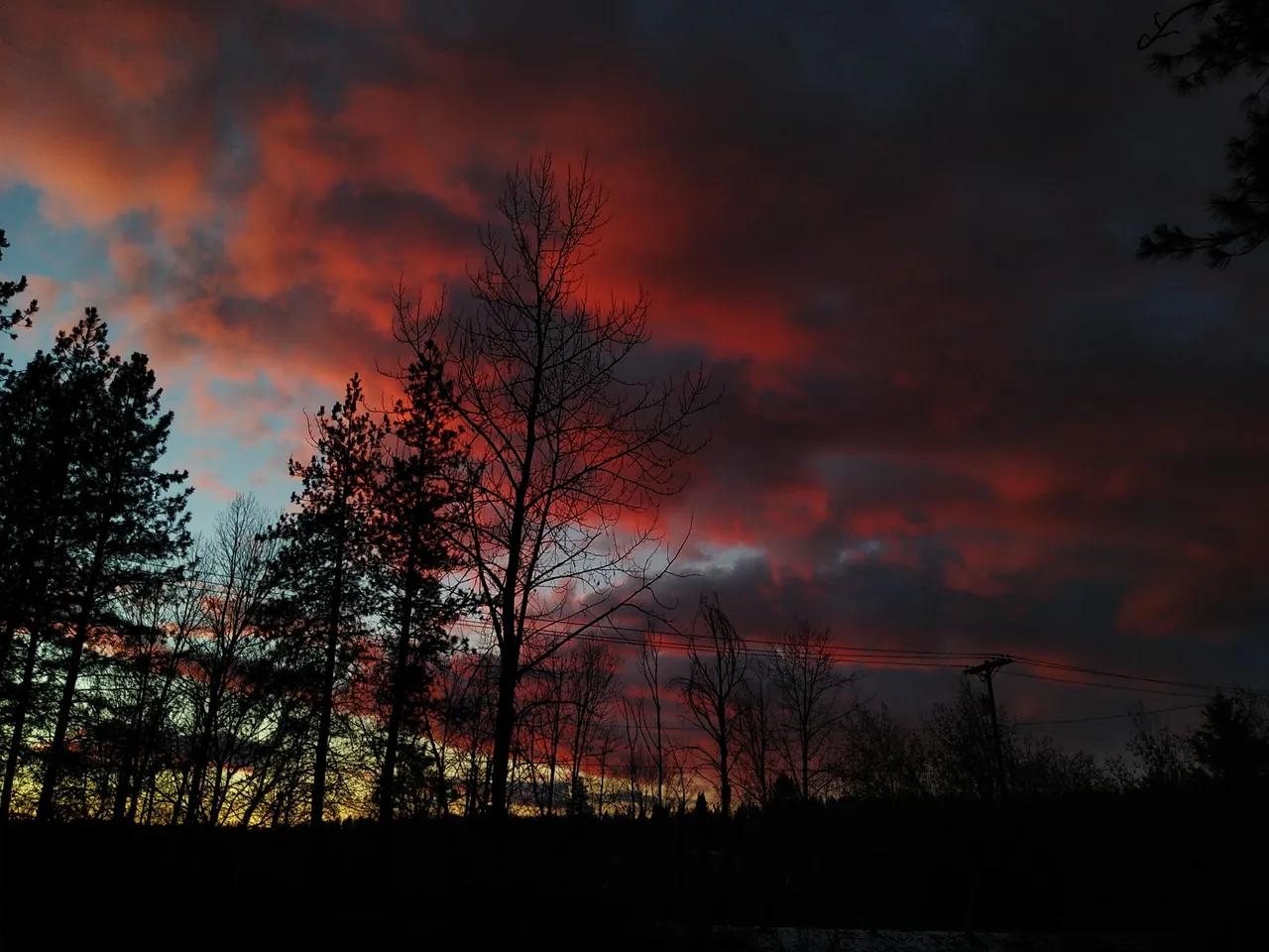 IMG_20211208_160025.jpg
