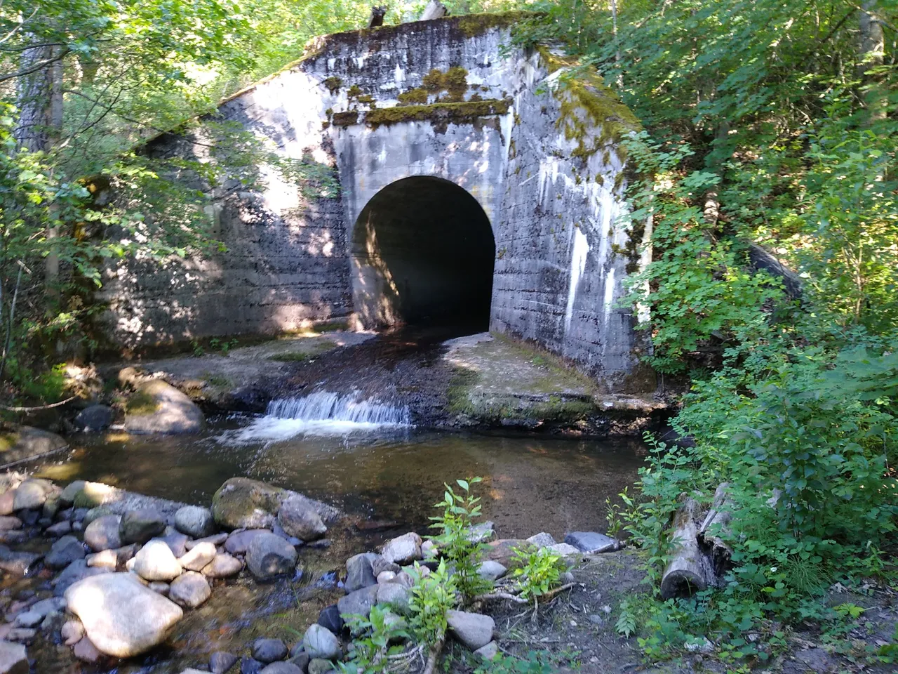 IMG_20210621_172030.jpg