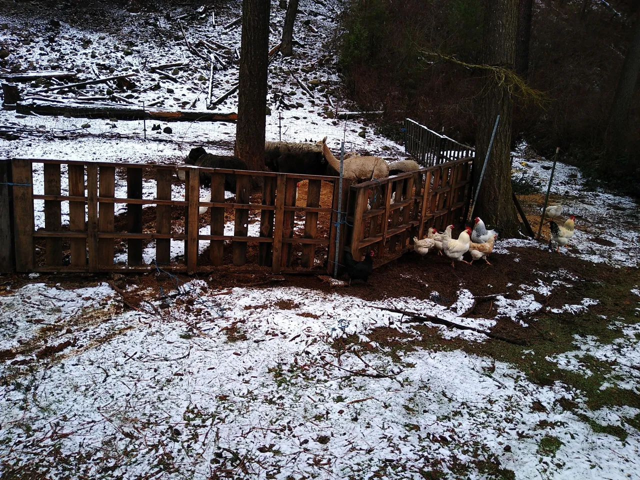 IMG_20211209_103249.jpg