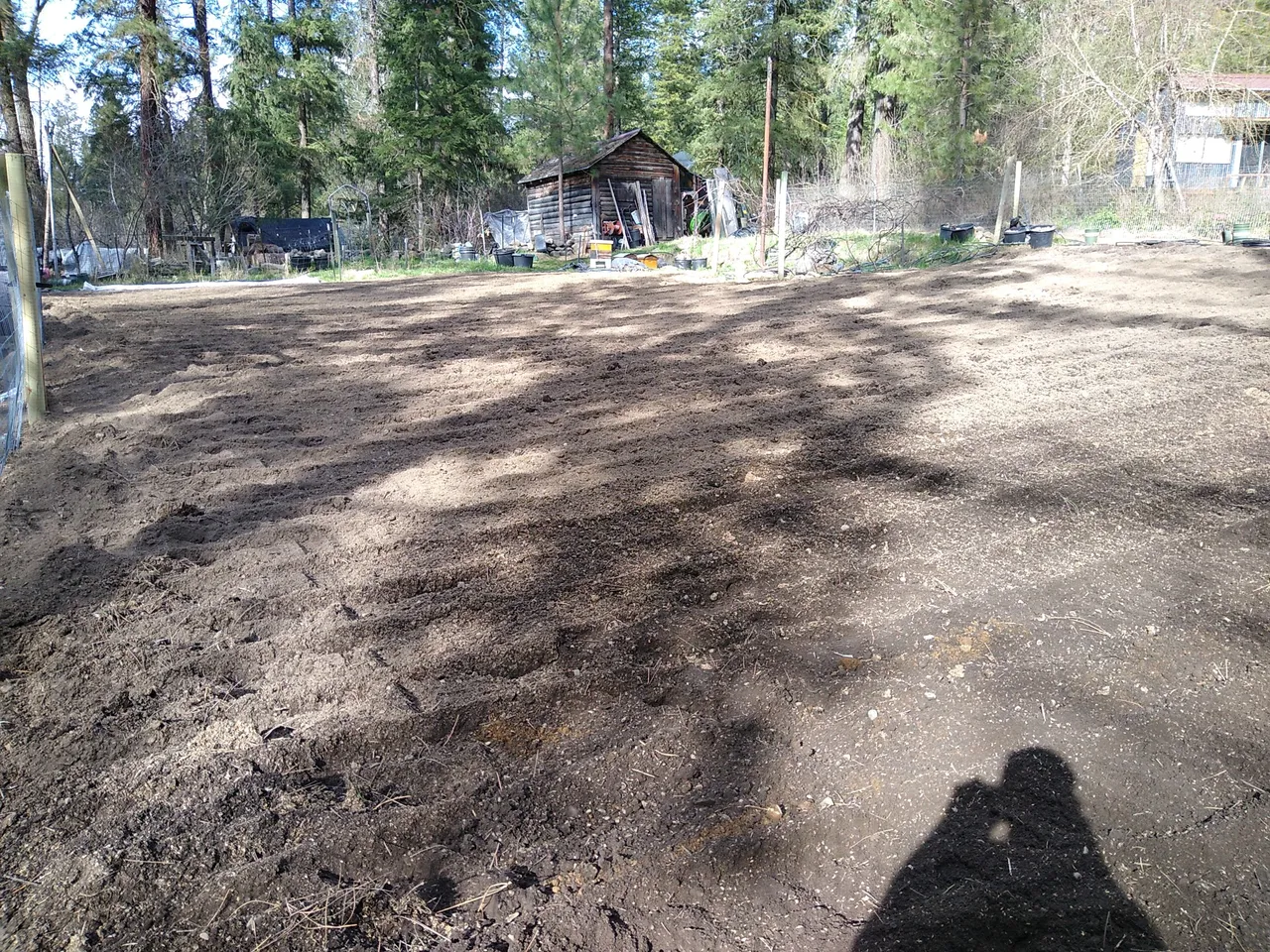 IMG_20220417_164726.jpg