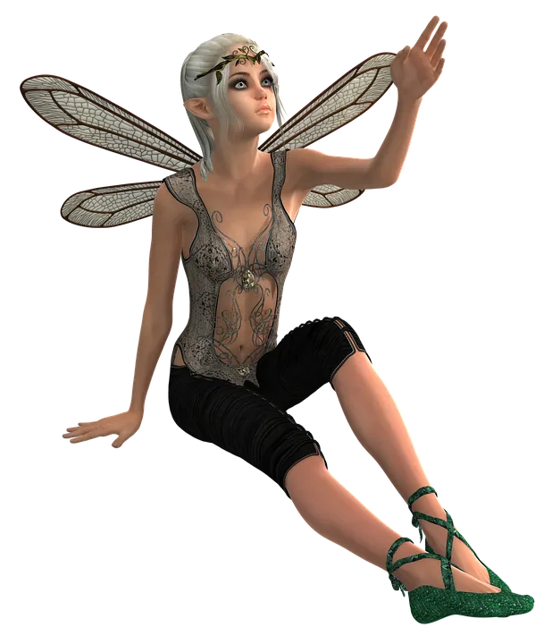 fee-3008928_960_720.png