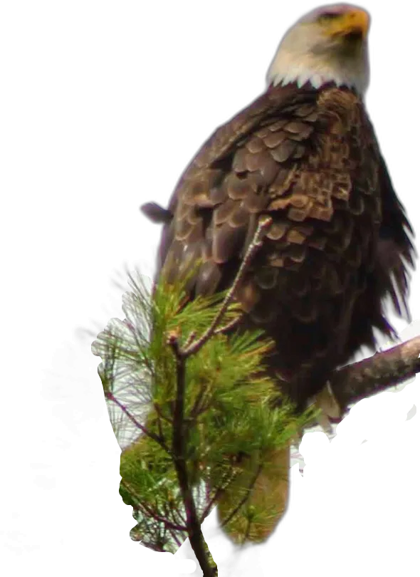 bac1402f_b47e_4c66_a849_b545bb3aff3c.png