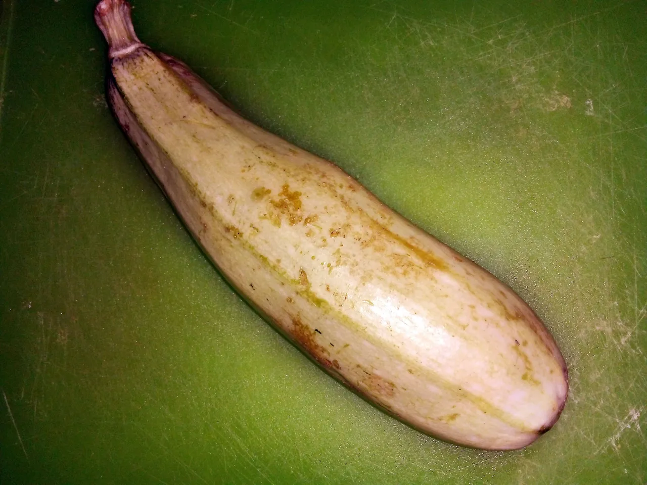 10a.jpg