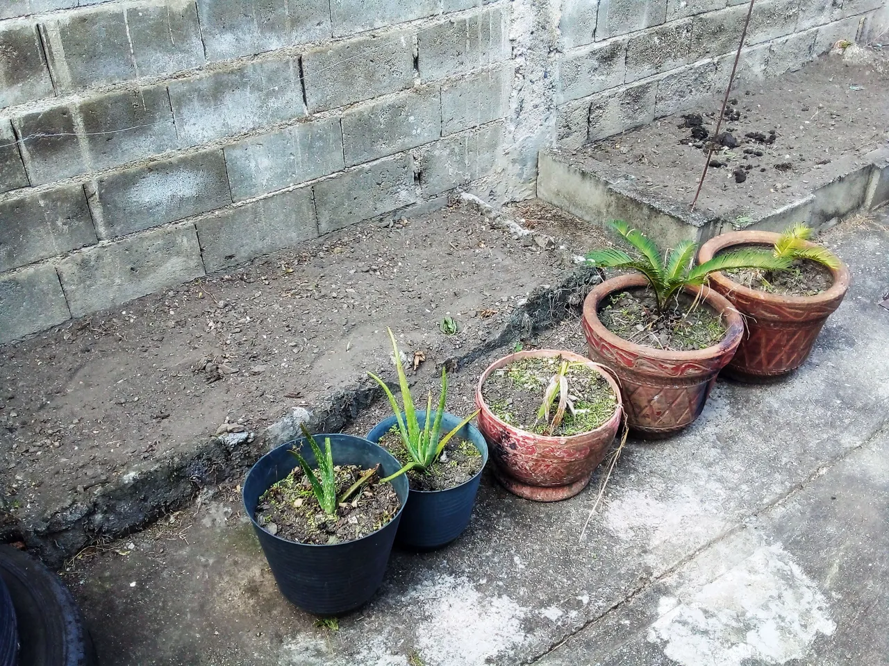 5b.jpg