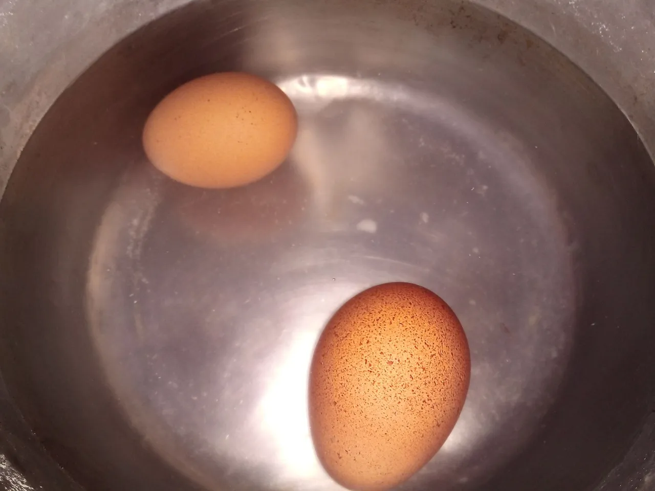 20220123_174229.jpg