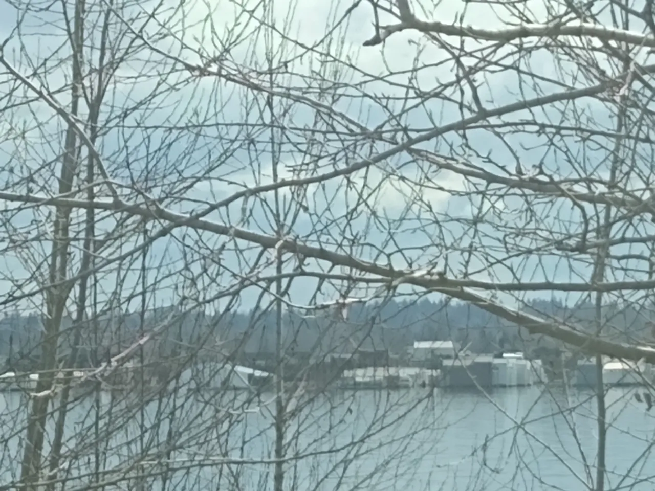 IMG_20210309_134011320.jpg