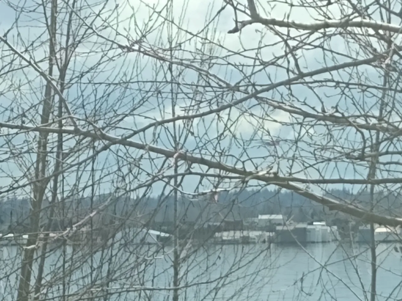 IMG_20210309_134011525.jpg