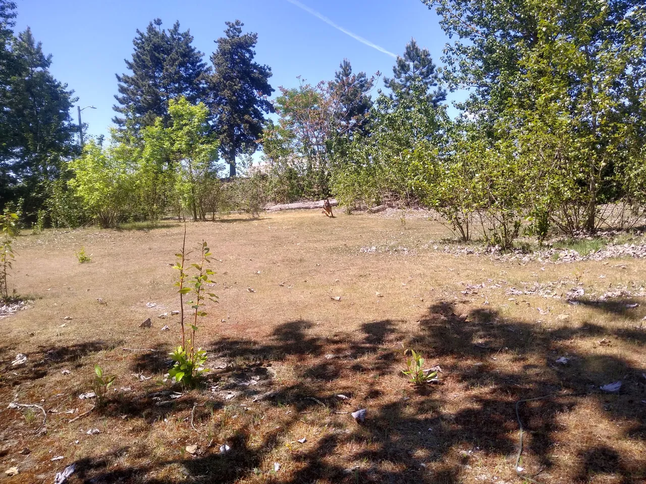 IMG_20210510_140416773_HDR.jpg