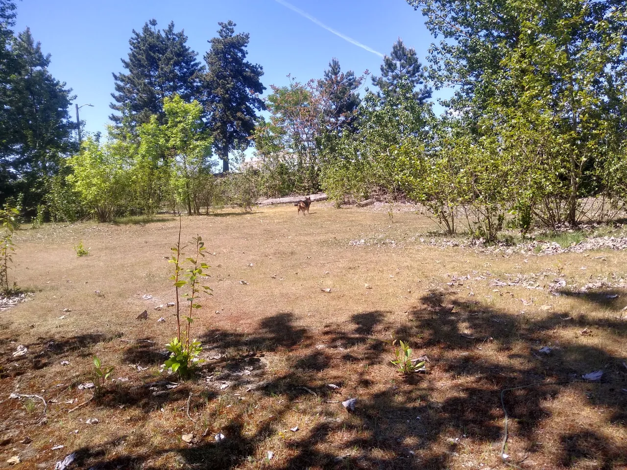 IMG_20210510_140415118_HDR.jpg