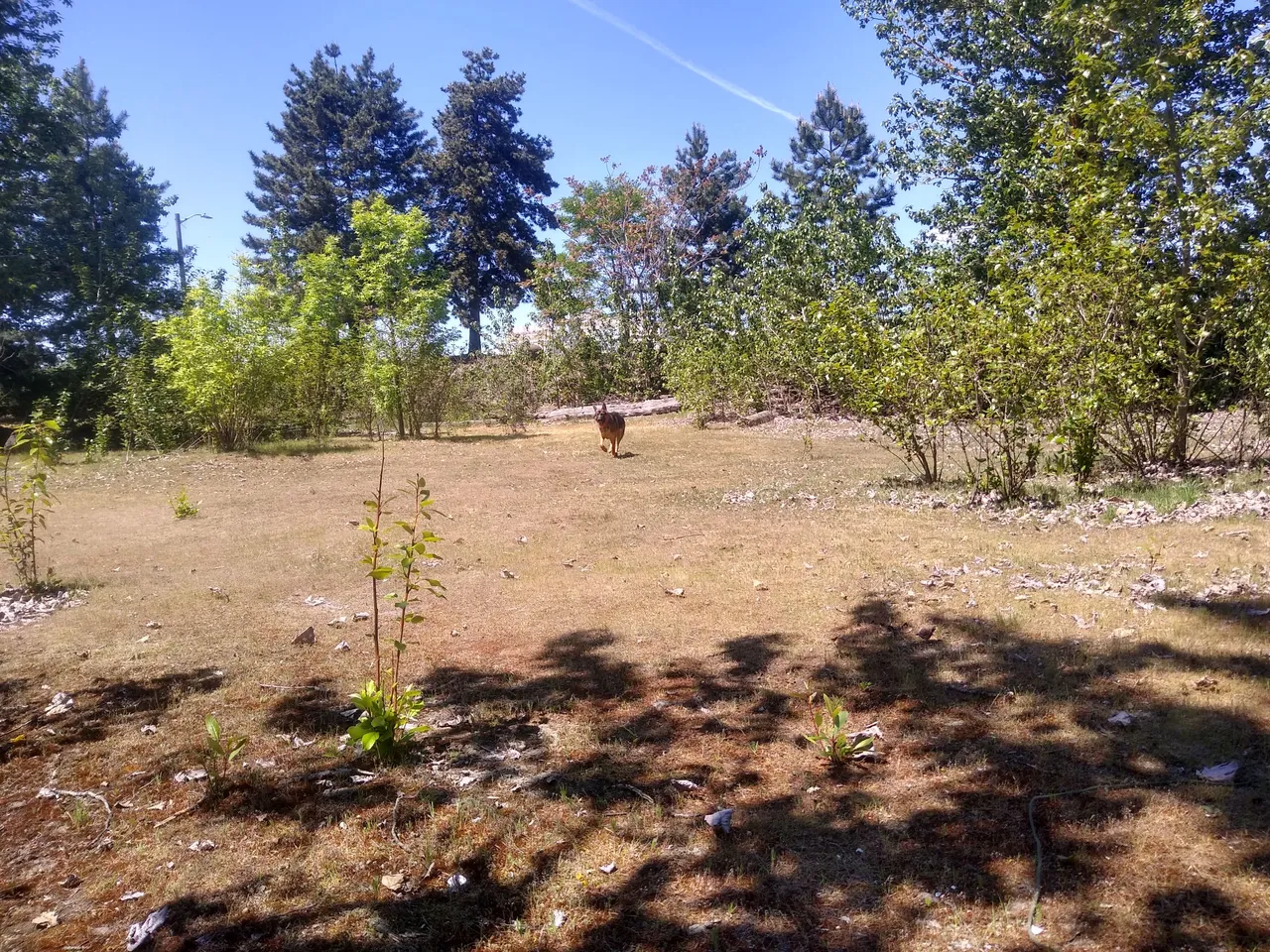 IMG_20210510_140418180_HDR.jpg