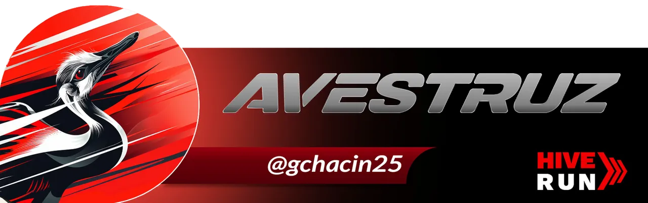 gchacin25.png