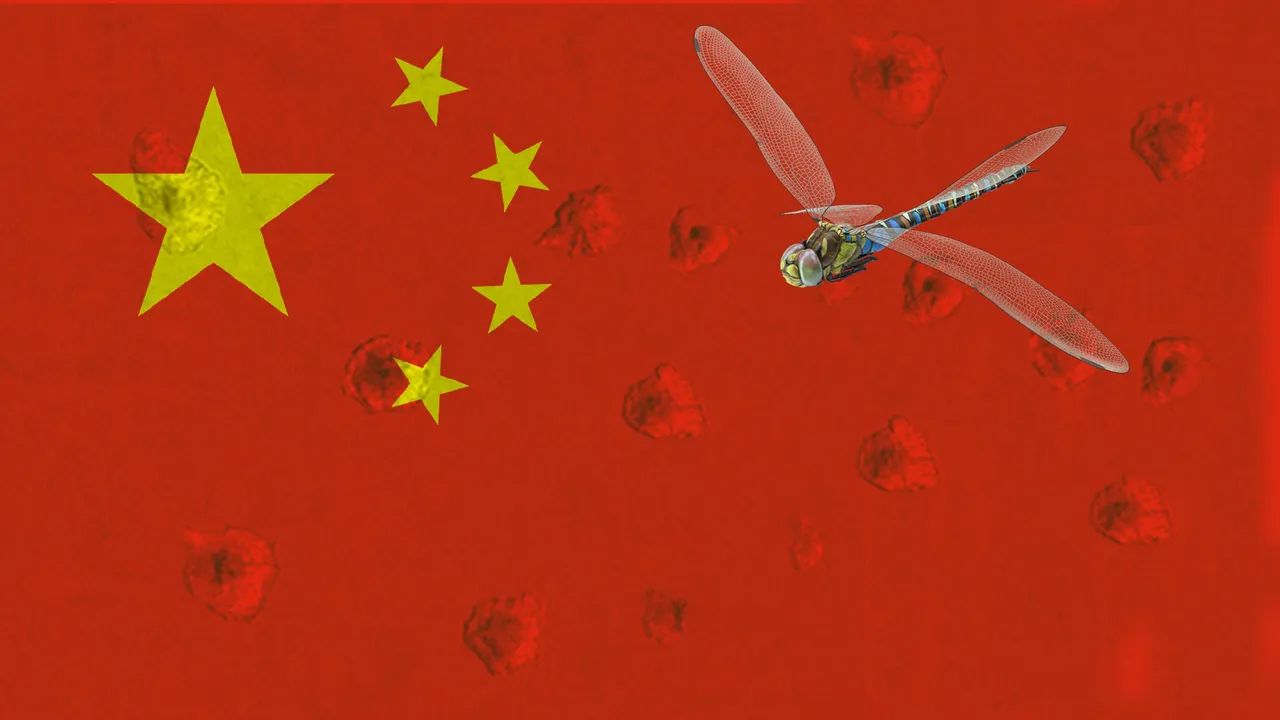 2Dragonfly.jpg