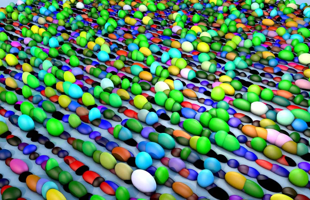 Smarties2_0038.jpg